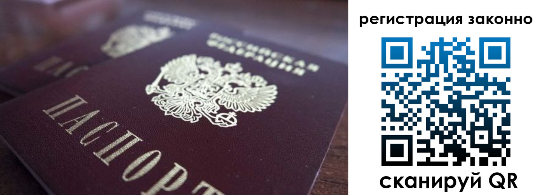 прописка для работы в Мурино